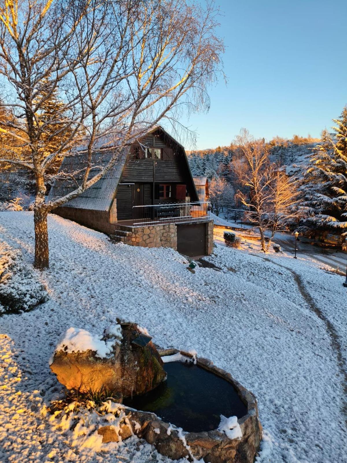Lodge Village *